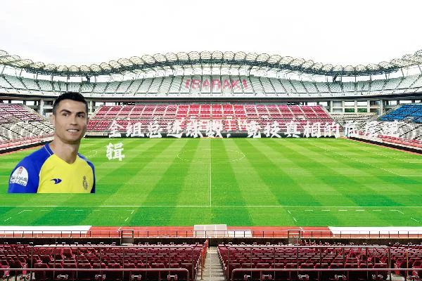 全组总进球数:竞技真相的底层逻辑